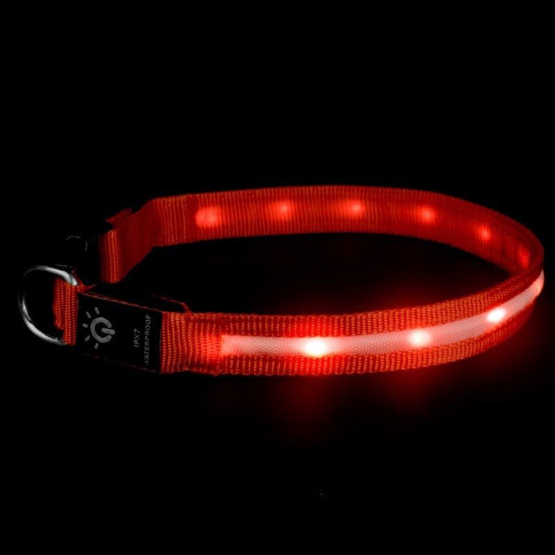 LED Pet Collar Waterproof Lighting Collar Night