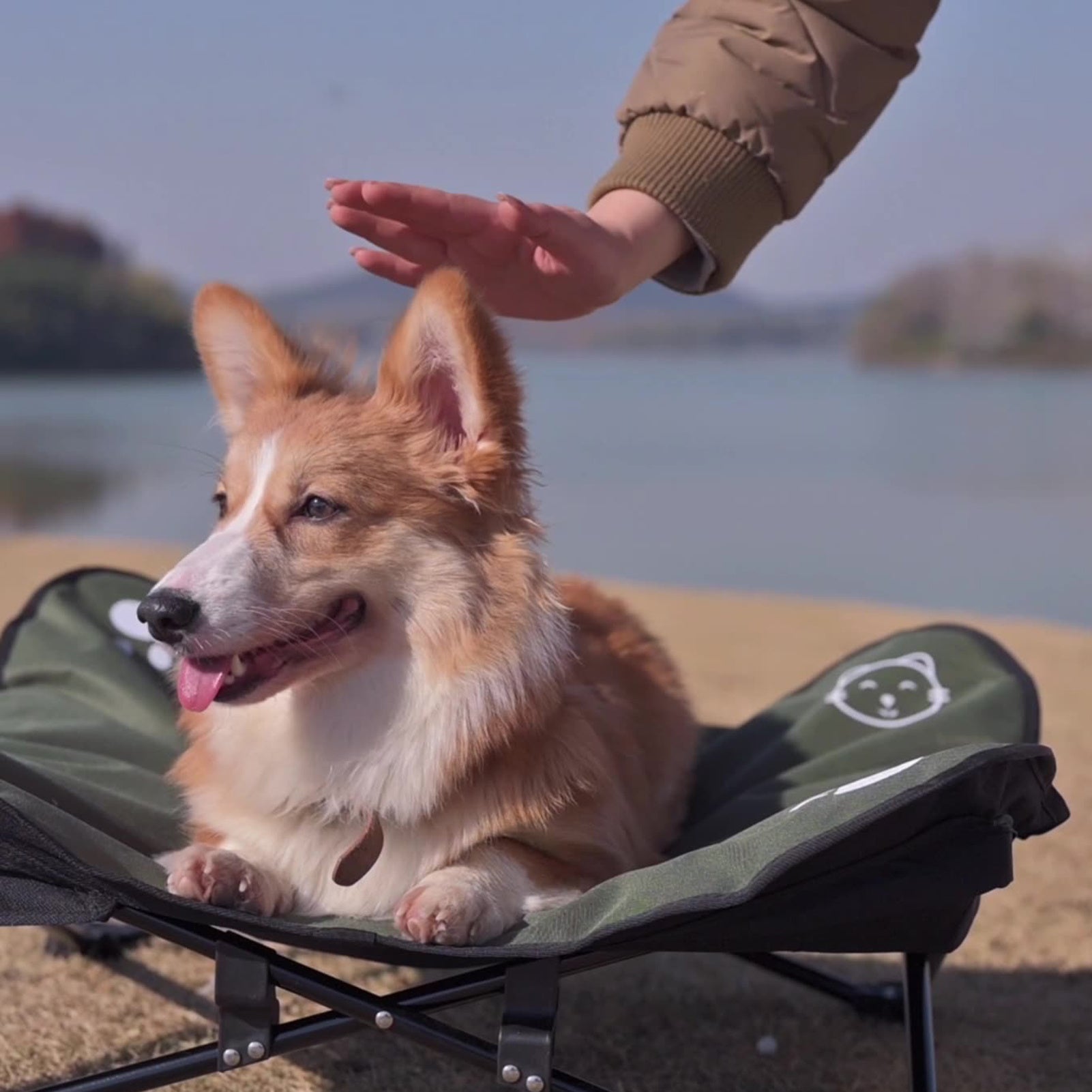 Outdoor detachable and washable pet folding bed