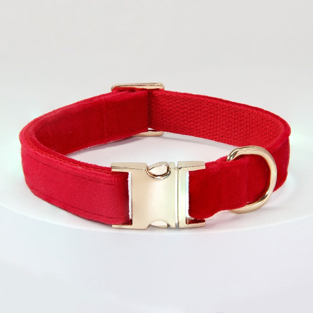 Dog Collar With Engraved Lettering Anti Loss