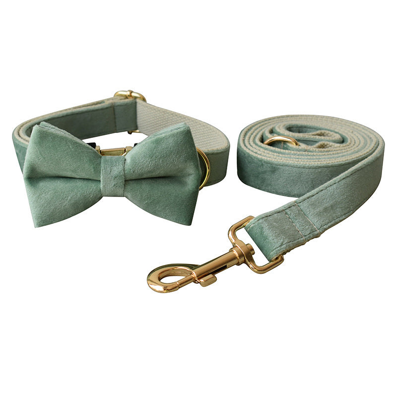 Mint Green Dog Collar Leash