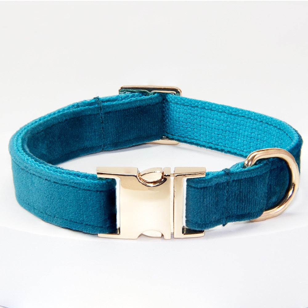 Dog Collar With Engraved Lettering Anti Loss