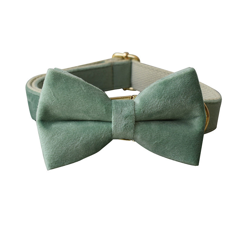 Mint Green Dog Collar Leash