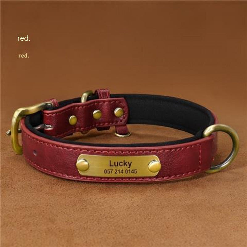 Dog Collar Engraved With Lettering To Prevent Loss Of Neck Collar